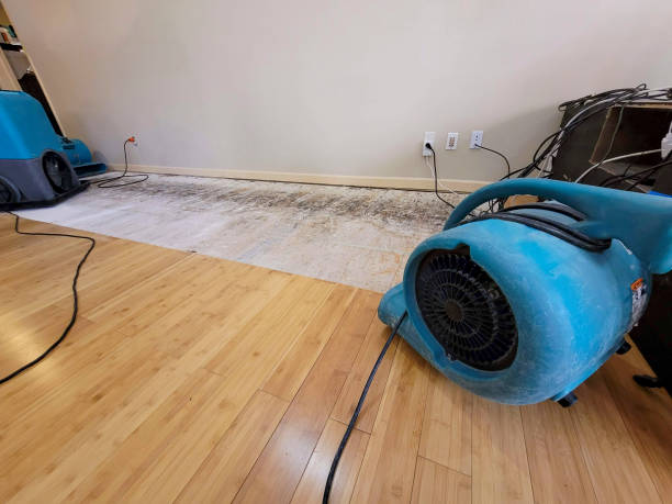 Professional Water Damage Repair technician working in Fairmount, GA